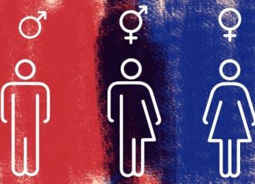 DOCUMENTO: DECLARAÇÕES DA ONU CONTRA DISCRIMINAÇÃO DE GÊNERO