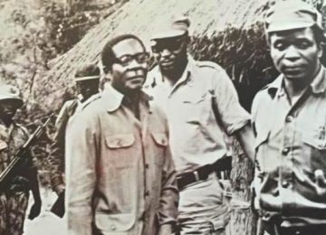 À SOMBRA DE MUGABE (UM RELATO MUITO PESSOAL) – III