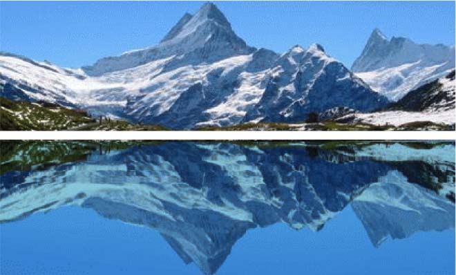 Haddad e Bolsonaro, política e desumanidade