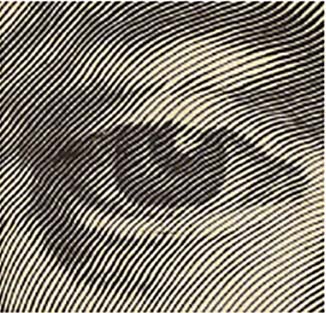 O Estado de Direito, no espelho dos humanos tortos