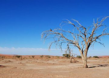 DEMOCRACIAS RECUAM NOS 70 ANOS DA DECLARAÇÃO