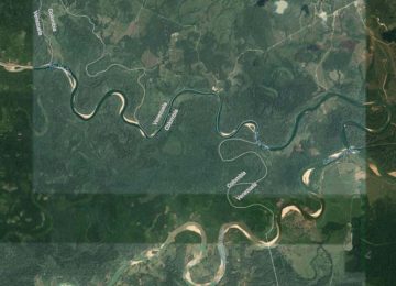 A DIÁSPORA VENEZUELANA, NA RADIOGRAFIA DA OEA