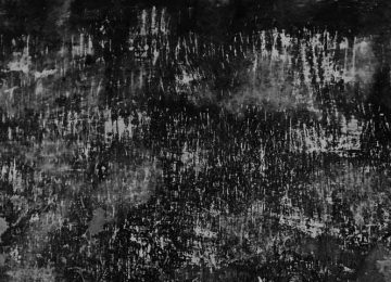 HOLOCAUSTO – PARTE II