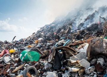 UMA ESCOLA PARA NOS ENSINAR A BARBÁRIE