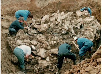 A GUERRA DA IUGOSLÁVIA E A CORTE PENAL INTERNACIONAL