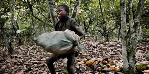 Trabalhos forçados de crianças.
