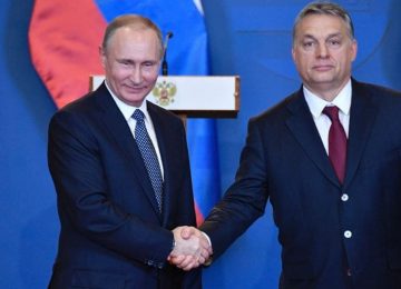 OS NATALISTAS E O MITO DA “GRANDE SUBSTITUIÇÃO”