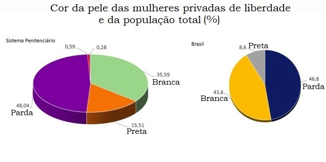 Cor de pele da população carcerária feminina