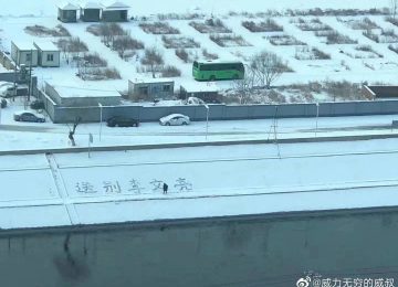 O QUE O CORONAVÍRUS REVELA SOBRE O ESTADO CHINÊS