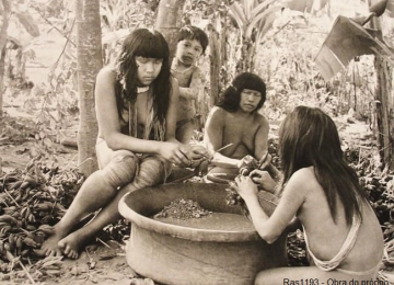 HUMANOS COMO OS ÍNDIOS