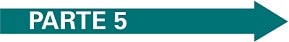 Seta-parte 5