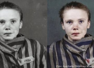 O GENOCÍDIO COMO HIPÉRBOLE