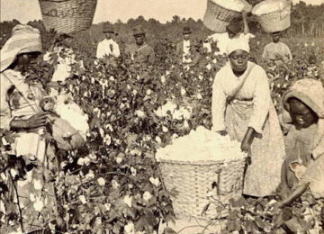 UMA NAÇÃO DIVIDIDA PELA ESCRAVIDÃO